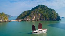Private 2-Day Boutique Cruise in the Pristine of Bai Tu Long Bay