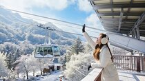 Full-Day Tour in Mt. Seorak & Nami (+Rail Bike Option)