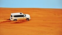 Doha Safari Adventure with 4WD Transportation Included