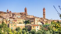 Unveiling the Charm of Montalcino and Its Iconic Brunello Wines