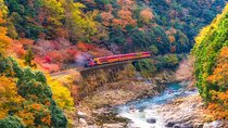 Sagano Train and Kiyomizudera Temple Day Tour Osaka