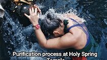 Purification at Holy Spring Temple 