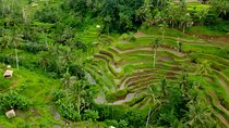 The Bali Experience: Ubud Full Day Tour