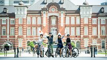 Tokyo Highlights 3 Hours Private Guided E Bike Tour