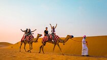Dubai Private City Tour with Desert Safari and BBQ Dinner