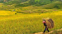 Hanoi to Sapa: 3-Day Adventure with 2 Nights in Ta Van Village