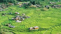 Hanoi to Sapa: 2-Day Trekking Adventure with Overnight Homestay