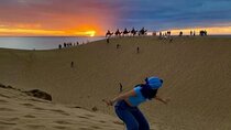 Agadir Camel Ride and Sandboarding Dunes Adventure Tour