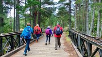 Scottish Highlands Walking Small Group Tour from Edinburgh