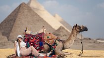 Half Day Tour Giza Pyramids& Great Sphinx with Private Tour Guide