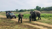 Yala National Park Safari + Galle Fort UNESCO Day Tour 
