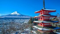 Mt. Fuji Private Tour and Hakone with Pro Guide in Luxury Vehicle