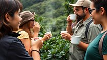 Big Island Hands on Coffee Farm Tour