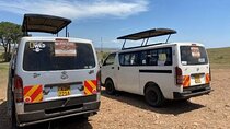 2 Days 1 Night Maasai Mara Private Safari from Nairobi