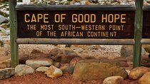 Cape of Good Hope & Boulders Penguins Full-Day Tour