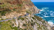  Private Cape Peninsula Tour: Cape Point & Boulders Penguins