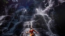 Ubud Most Iconic Waterfall Swing and Water Temple All Inclusive 