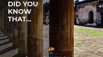 Pompeii private tour, New Itinerary with Panoramic Aperitif