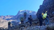 Mount Kilimanjaro: 6-Day Marangu Route Trekking Adventure 