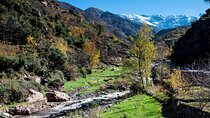 Full Day High Atlas Mountains Hike from Marrakech