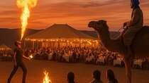 Marrakesh:Agafay Dinner Show with Quad Bike and Sunset Camel Ride