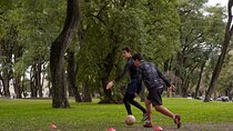 Outdoor Functional Training in Palermo with Pro Trainer
