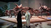Admission Ticket to Zayed National Museum Abu Dhabi