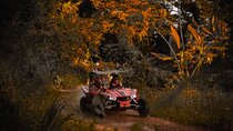 Half Day Tour ATV and Buggy Excursion 4x4 in Punta Cana