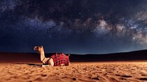 Doha Night Desert Safari with Dune Bashing,Stargazing & Adventure