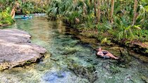 Rock Springs River Tubing and Apopka Wildlife Adventure Tour