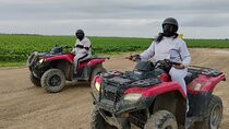 ATV Ride Experience in Miami NO HIDDEN FEE