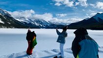  Banff Winter Walk: Including Ice Cleats + Transportation 2.5hrs