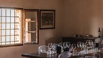 Montalcino: Guided Winery Tour with Tuscan Wine & Cheese Tasting