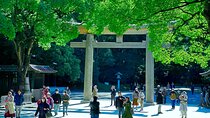Tokyo: Meiji Shrine and Shinto Culture Walking Tour