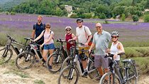 Full Day Ebike Tour in the Luberon Region from Avignon