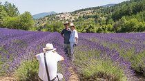 Provence Lavender Full Day Tour from Avignon