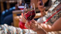 Kefalonia Wine Tour with 18 Tastings at Three Wineries
