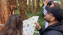 Sydney Guided Wildlife Walk Explore Birds and Nature