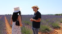 Small Group Marseille Shore Excursion: Lavender Tour