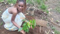Reforestation Hike & Tree Planting XP