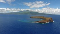 2 Hour Molokini Snorkeling Tour with Breakfast