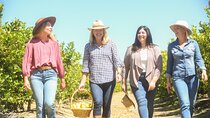 Savor the Valley: Cattle Ranch-to-Olive Grove On Farm Experience 