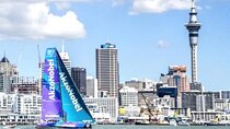 Auckland City Half Day Small Group Tour - Best Spots