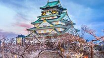 Osaka Castle: guided tour of its interior and gardens