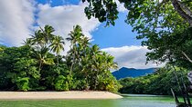 Private Luxury Daintree Dream Tour All Inclusive 