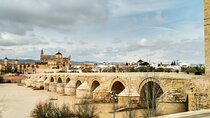 Private tour to Córdoba from Seville (several options)