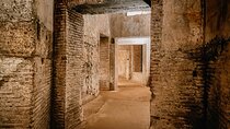 Domus Aurea Guided Tour and Virtual Reality Experience