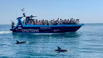 Portimão : 2.5 hours — Dolphins Watching — Biologist on Board