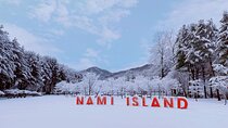 Nami Island & Petite France with Italian Village One-Day Tour 