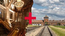 Auschwitz Birkenau and Wieliczka Salt Mine Day Tour from Krakow